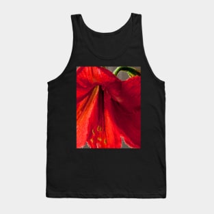 Vibrant red amaryllis Tank Top